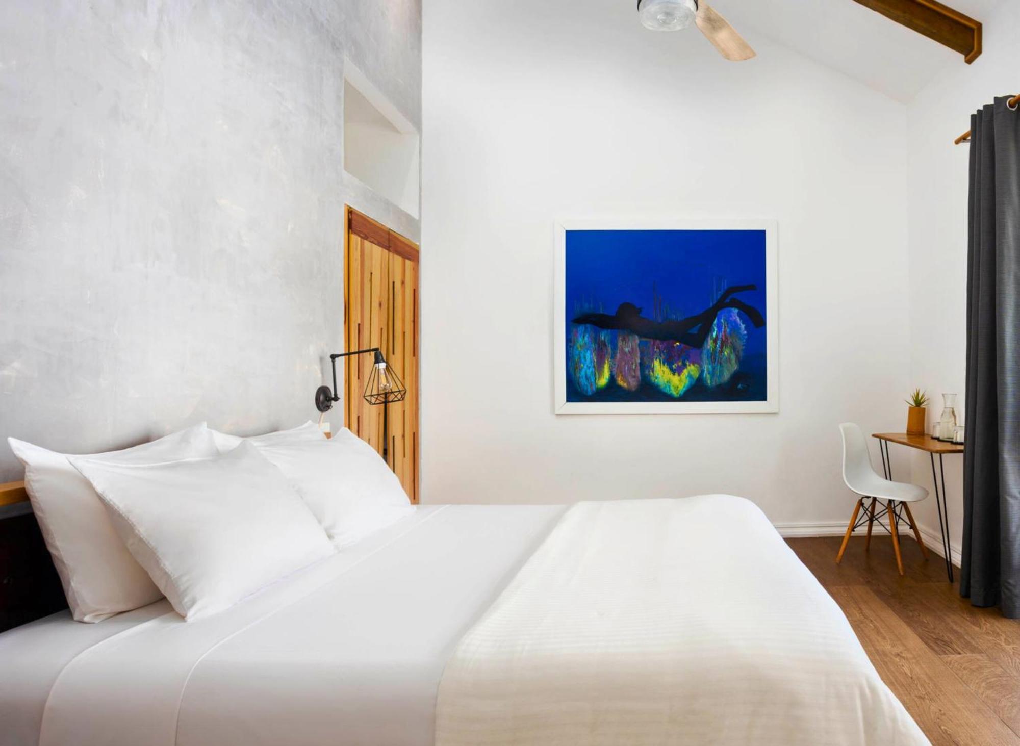 Divers Paradise Boutique Hotel Bocas del Toro Pokoj fotografie